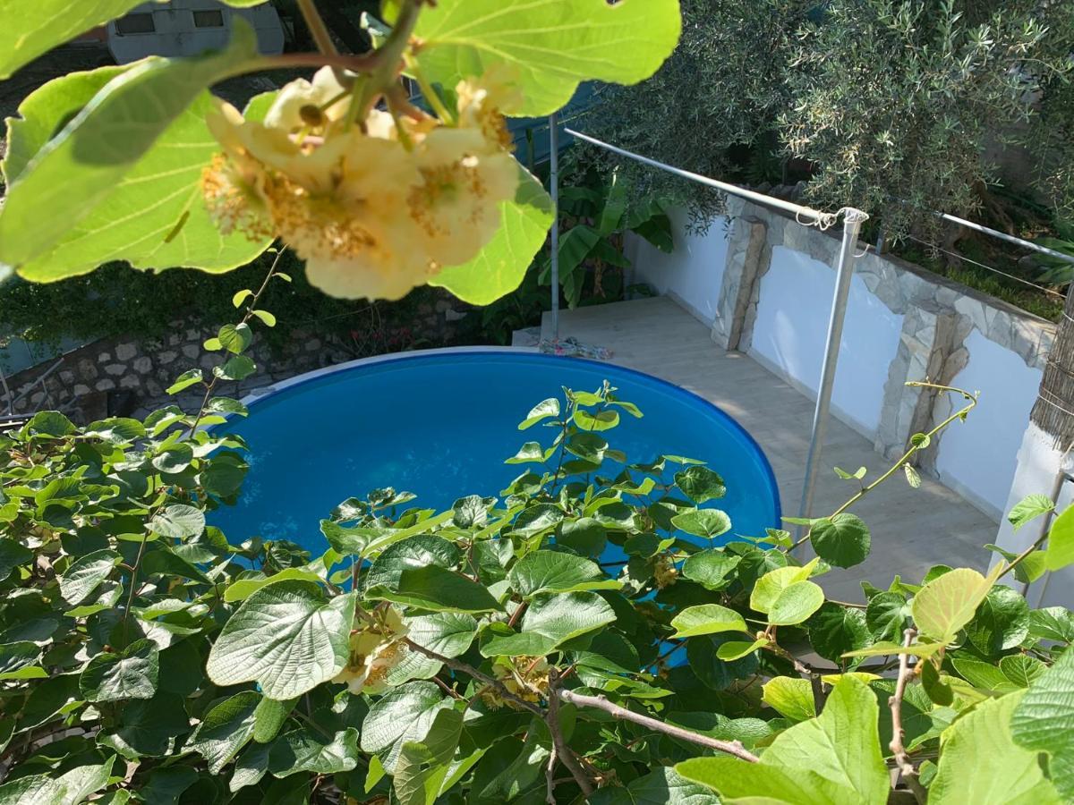 Apartments Mirian Petrovac Bagian luar foto