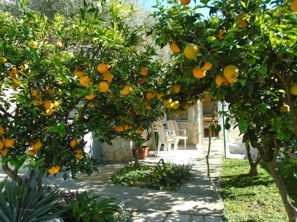 Apartments Mirian Petrovac Bagian luar foto